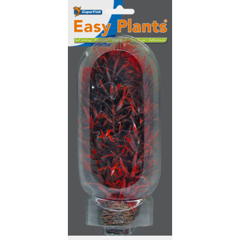 Easy Plants Middle NR7